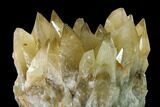 Dogtooth Calcite Crystal Cluster with Phantoms - Morocco #159523-1